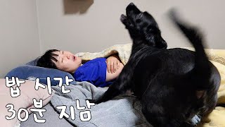 밥 먹는 시간 조금 지났다고 엄청 화났음 by 똥개로움 33,322 views 6 months ago 6 minutes, 3 seconds