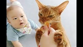 Funniest Baby and Baby Animals Fails   Fun and Fails Baby Video