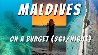 Maldives On A Budget 5 Nights On Dhigurah Island Whale Sharks, Manta Rays, Fun Facts, Drone