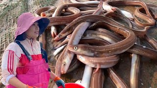 [ENG SUB] Xiao Zhang heads to sea  eels stranded  big groupers in puddles  he's lucky!