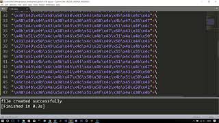 Stack Buffer Overflow using call/jmp esp