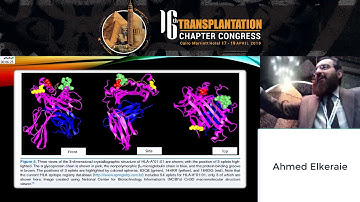 Practical application of epitope matching in kidney transplantation prof  Ahmed Elkeraie