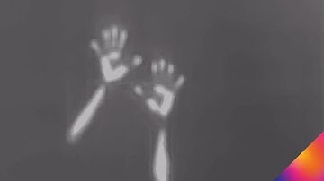 Ghost Hunting Tips with FLIR