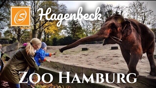 Tierpark Hagenbeck Zoo Hamburg Hamburg Germany Youtube