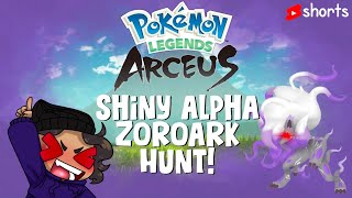 WE FOUND SHINY ALPHA ZOROARK! Chill Pokemon Legends Arceus Shiny Alpha Hunting #shorts