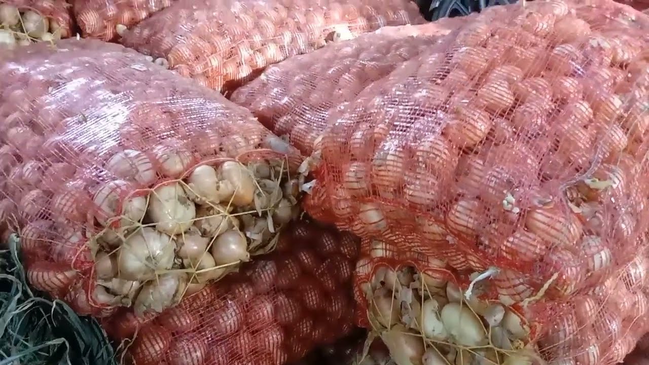 @اسعار الزرع الافرنجي و التوم  الجديد في سوق العبور 