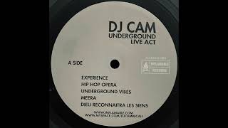 Underground Vibes / DJ Cam