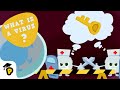 Coronavirus Outbreak | What is a virus? | Kids Learn Cartoon | Dr. Panda TotoTime