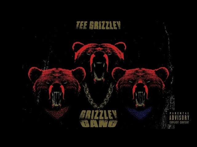 Tee Grizzley - Grizzley Gang (Official)