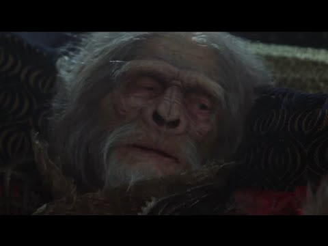Charles Heaston In Planet Of The Apes 2001 HD