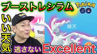 ブースト高個体値レシラムを狙え！レシラム逃さないおじさん【ポケモンGO】