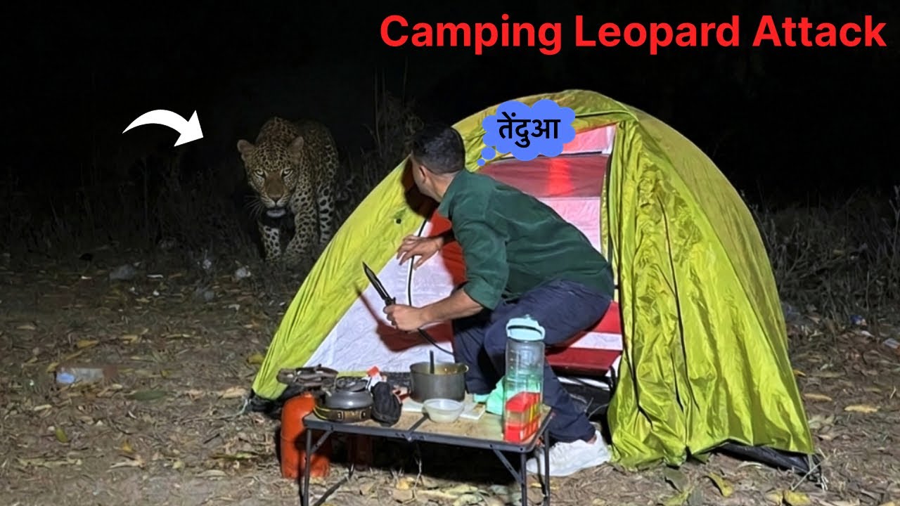 Solo Night Camping 🐆तेंदुआ टेंट के बाहर था In Dangerous Forest Animal Attack JungleCampingVideoIndia