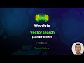 Queries - Vector Search Parameters