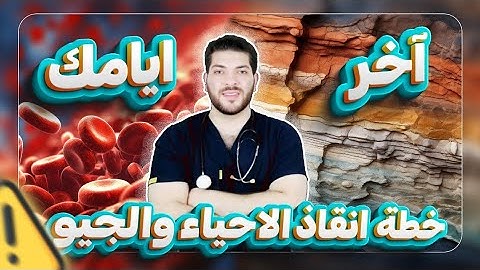 من الآخر..خطة الإنقاذ في ليالي الإمتحان 🔥