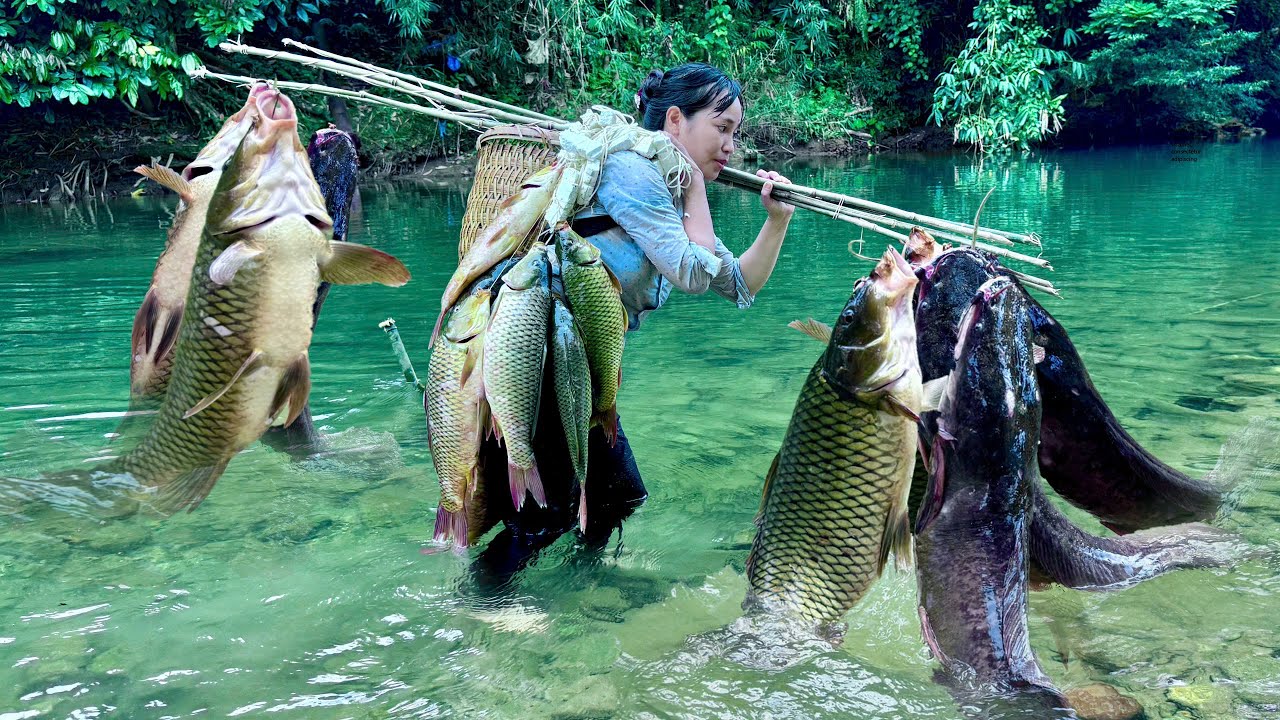 Traditional Fishing Skills - Single Mother Catches Giant Fish Using Bamboo Tube