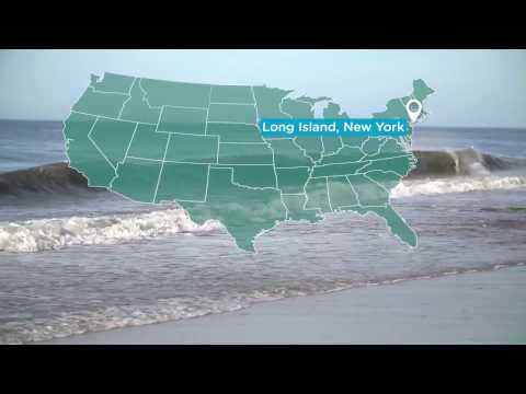 Your Long Island,