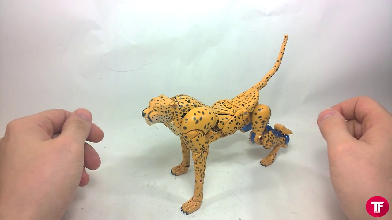 Takara MP-34 Cheetor / Cheetus ITA