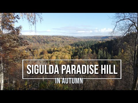 AUTUMN FOREST Sigulda