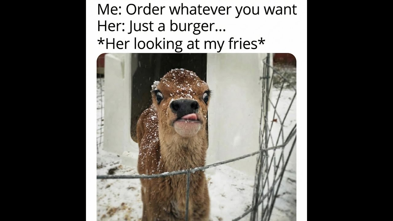 😆Funny Memes, Puns & Jokes 😆 Episode 329 😆 TRY NOT TO LAUGH 😆 BIG Compilation 😆Best On the Internet!