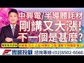 20240226陳奇琛分析師｜中興電、半導體耗材上禮拜講完今天大漲，下一個是甚麼？中興電、亞力、上品、中華化、三晃、漢翔、千附精密、軍工