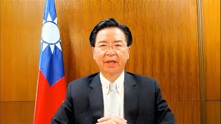 Taiwanese FM on China: 'After Hong Kong, Taiwan might be next'