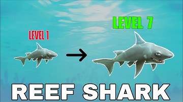 Reef Shark Level 1 To 7 Challenge | Hungry Shark Evolution Gameplay |