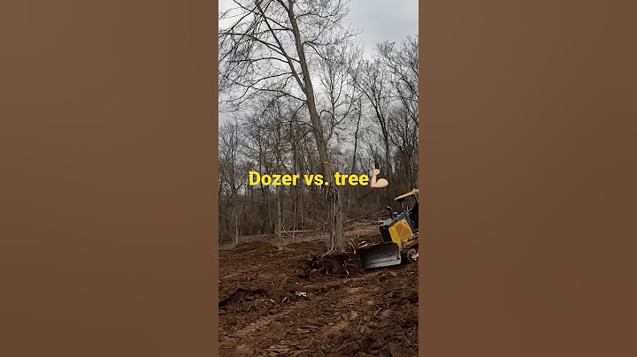 Dozer vs. BIG TREE #shorts