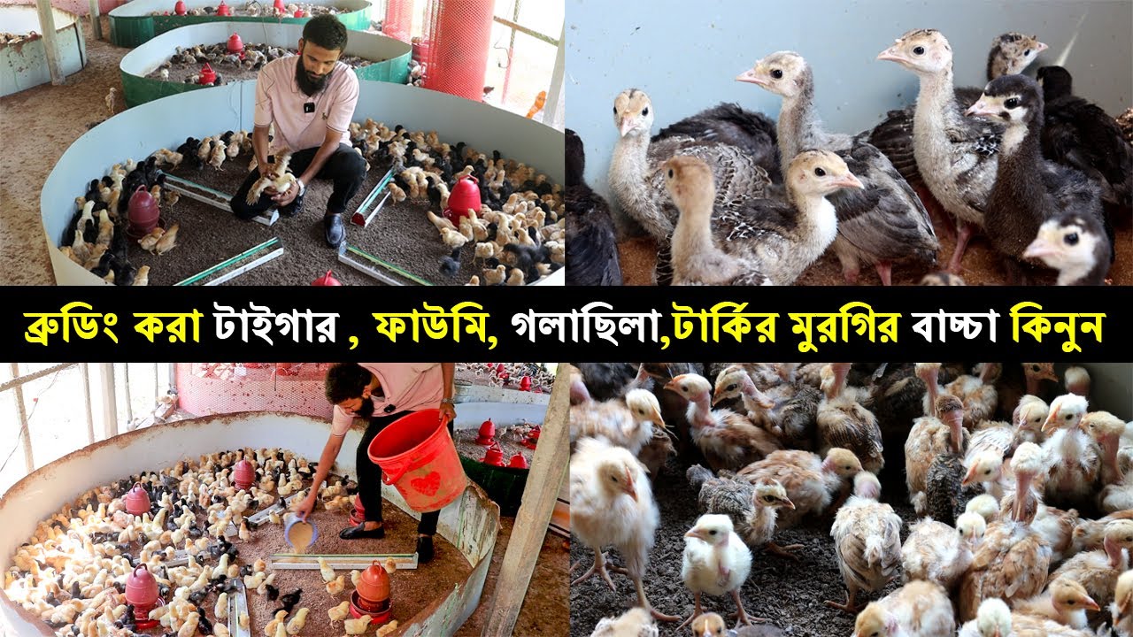 Vukuda Inna bilan anal jinsiy aloqa videolari Ayollar onanizm paytida nima deb oylashadi?