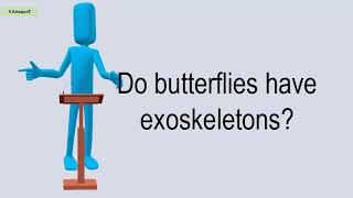 Do Butterflies Have Exoskeletons?
