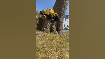Element rc enduro ecto rc crawler quick hits tree climbing #rccar #rccrawler #offroad #elementrc