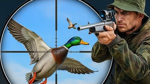 Duck Hunting 3D | Hunting Game | Fps Shooting Game Android Gameplay 