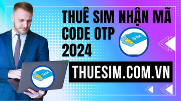 Cho Thuê Sim Nhận Mã Code Online - Hướng Dẫn Thuê Sim Lấy Mã Xác Minh Tài Khoản 2024