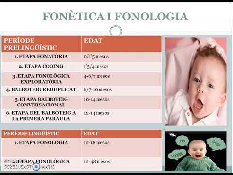 Vídeo: Quines són les etapes del desenvolupament del llenguatge en psicologia?