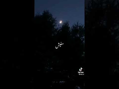 لسه زي مانا علي العموم ليجي سي اجدد حالات واتس راب ٢٠٢٢