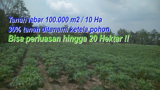 Dijual tanah lebar 10 Hektar di kediri | Bisa perluasan 20 Hektar