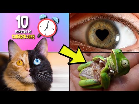 30 COISAS QUE