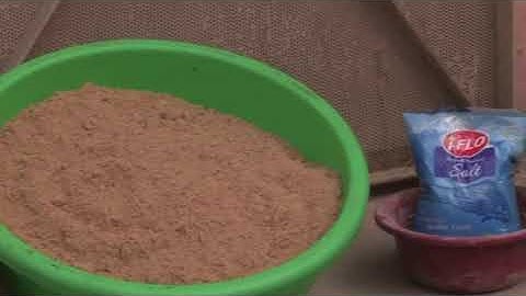 Ration Balancing for Dairy Animals