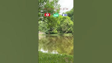 سورة يس ، الشيخ ياسر الدوسري #اكسبلور #relaxation #nature #قرآن #ياسر_الدوسري