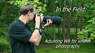In the Field: Adjusting WB for wildlife photography - Today's Photo Minute Video #23 screenshot 4
