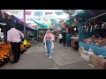 Feria del MUERTO Y CARTON / tradición TAPATIA