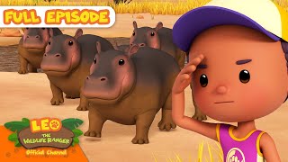 Hippos Marching Full Episode Leo The Wildlife Ranger Kids Cartoons
