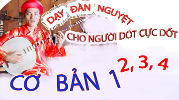 DẠY ĐÀN NGUYỆT CHO NGƯỜI DỐT CỰC DỐT CƠ BẢN 1 2 3 4