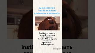Английский с «тайная жизнь домашних животных»
