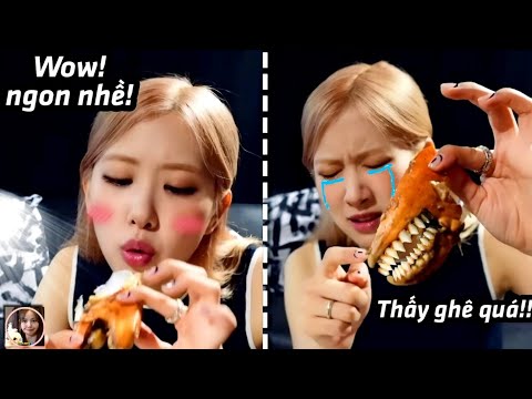 [ #8 ] BLACKPINK VÀ TI TỶ KHOẢNH KHẮC MẶN LÒI // Blackpink funny moments • Vựa muối Hắc Hường!