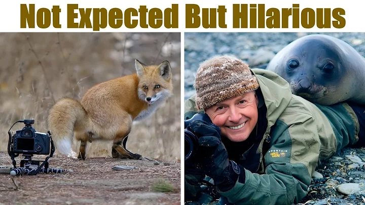 “The Day My Heart Melted”: Wildlife Photography GONE WRONG But In Hilarious Ways thumbnail