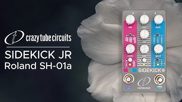 Crazy Tube Circuits Sidekick JR Sound Demo with SH-01a Synthesizer