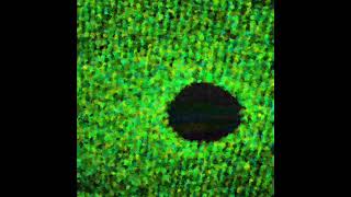 君に想いが届くまで