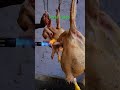 #Viral #video #मुर्गा सेंकने का नया तरीका new #viral video NJ #chicken wala #shortfeeds new #style