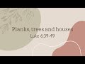 Sunday 20th July 2025 - Luke 6:39-49 - Planks, trees and houses