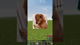 So i tried Shaders in Zalith2(Minecraft java on Mobile?) nothing new 🥱